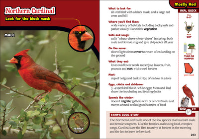 The Kids Guide to Birds of Georgia. Fun facts, activates and 87 cool birds.